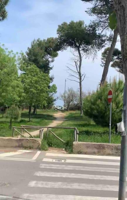 Appartamento Casa Vacanze Montesilvano Marina מראה חיצוני תמונה